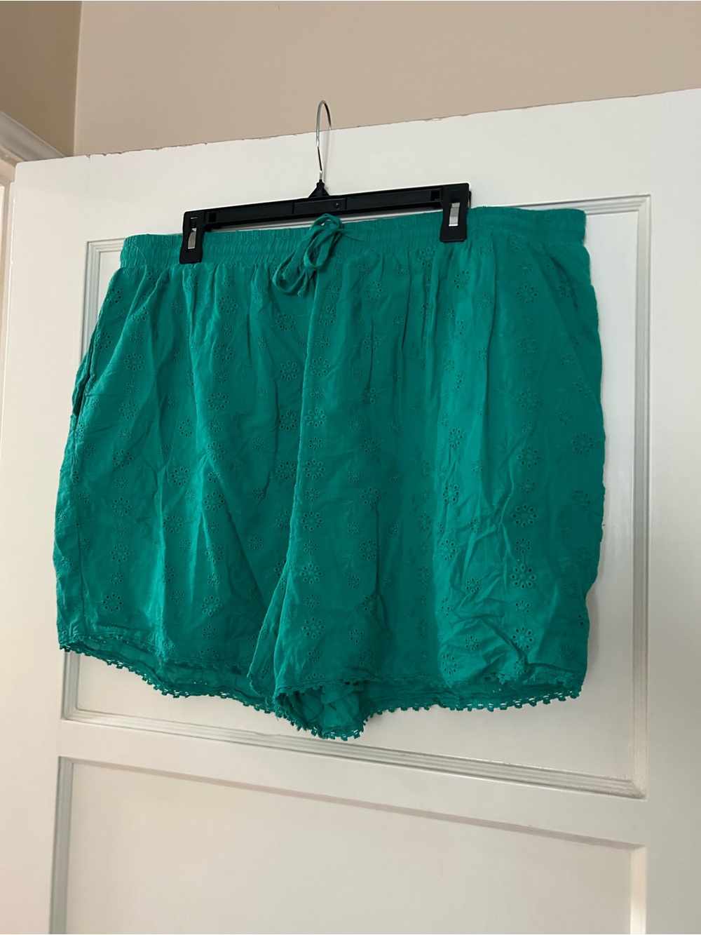 Ivy City Co shorts, 1X